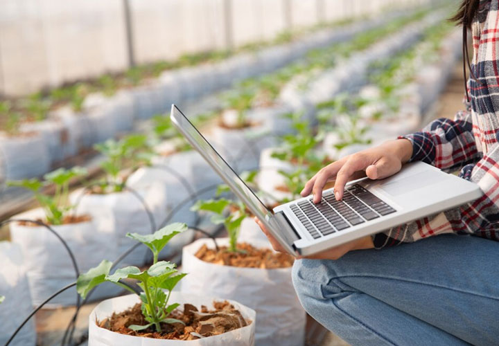 Schulz Technological Solutions